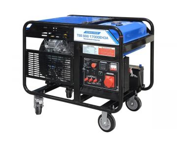 Генератор бензиновый TSS (ТСС) SGG 17000EH3A (190075)