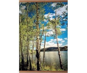 Обогреватель инфракрасный ТеплоМакс Домашний очаг (Берёзки)