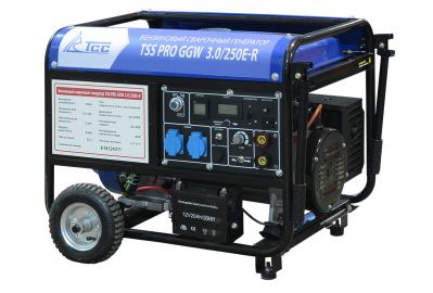 Генератор TSS (ТСС) PRO GGW 3.0/250E-R