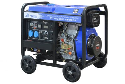 Генератор TSS (ТСС) PRO DGW 3.0/250E-R