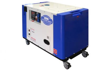 Генератор TSS (ТСС) DGW-300ES