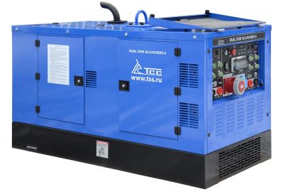 Генератор TSS (ТСС) Dual DGW 28/600EDS-A