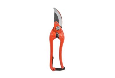 Секатор Bradas RG Line KT-RG1027/8