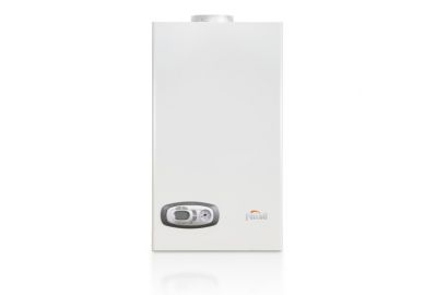 Котел газовый Ferroli Divatech D HF 24 (Ex)