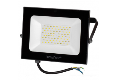 Прожектор светодиодный LuminArte 50 Вт (LFL-50W/05)