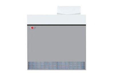 Котел Wolf NG-31E-110