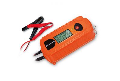 Зарядное устройство Daewoo DW 800