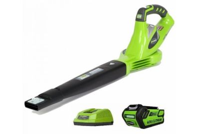 Воздуходувка аккумуляторная GreenWorks G40BLK2 (24107VA)