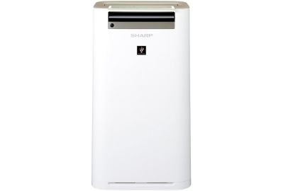 Очиститель воздуха Sharp KC-G61RW