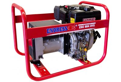 Генератор Endress ESE 604 YS DI