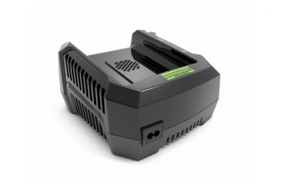 Зарядное устройство GreenWorks G82C (2907502)