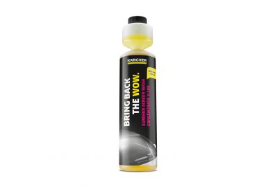 Жидкость стеклоомывающая Karcher RM 772