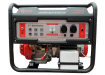 Бензиновый генератор Edon PT-RWD9000A