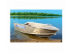 Алюминиевая лодка Wyatboat-430